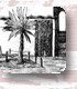San Carlos